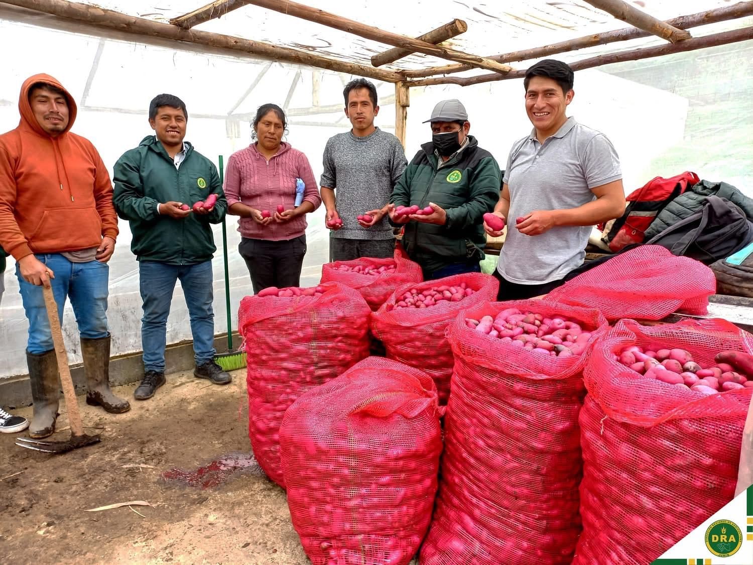 Invernaderos y equipo con productores en APASAC Tapo, Tarma