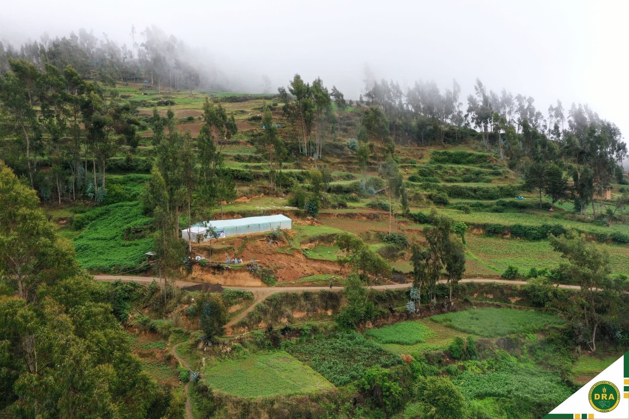 Sistemas de riego en parcelas de agricultores familiares