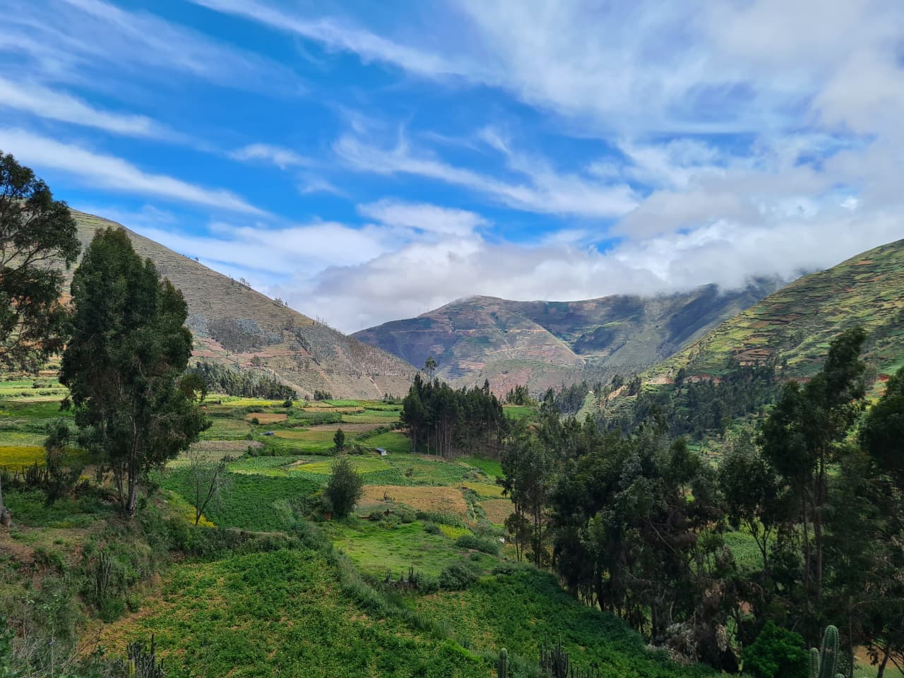 Entorno rural e invernaderos en el distrito de Tapo, Junín